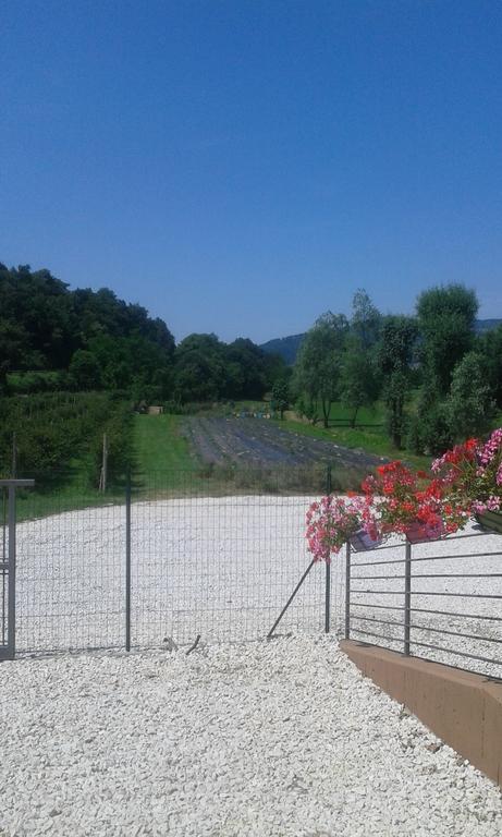 Agriturismo Terra E Lago D'Iseo Franciacorta Paratico Luaran gambar