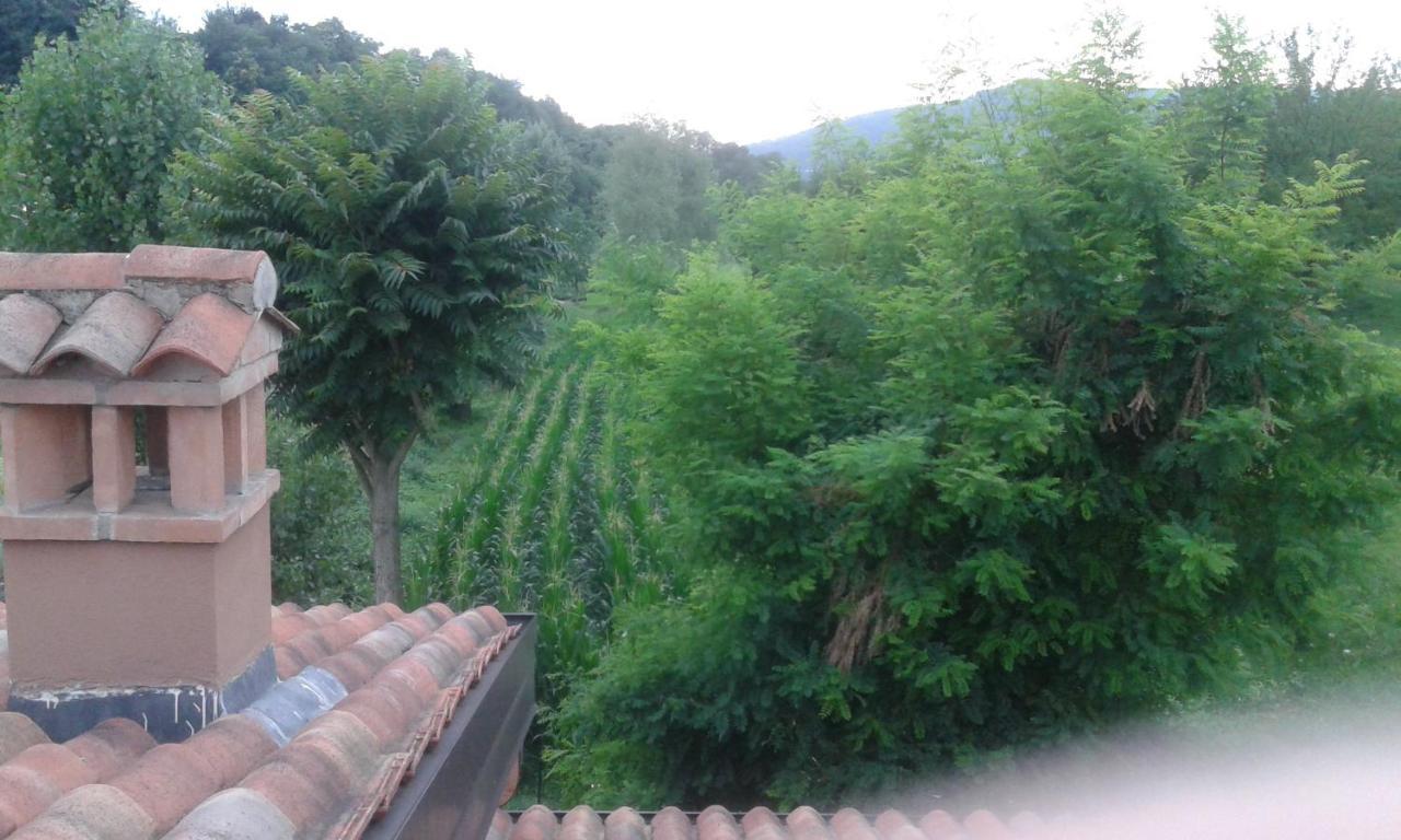 Agriturismo Terra E Lago D'Iseo Franciacorta Paratico Luaran gambar